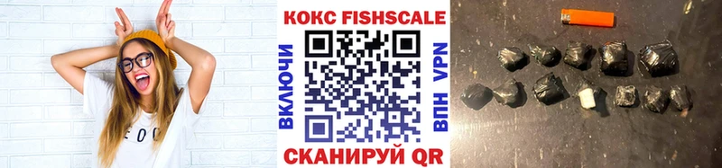 COCAIN Fish Scale  Купить  Венёв 