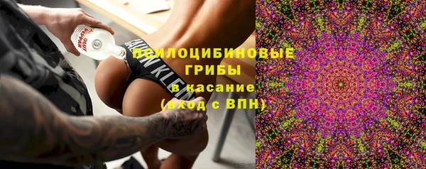 герыч Арсеньев
